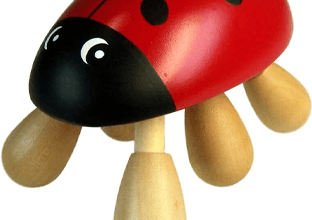 Ladybird Massager