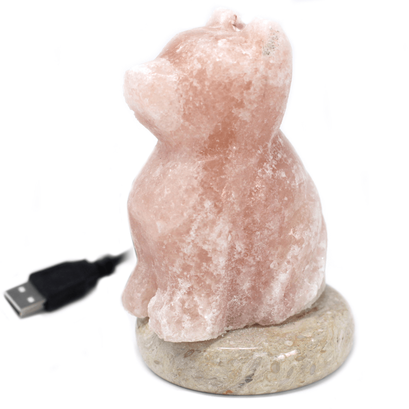 USB Dog Shaped Salt Light