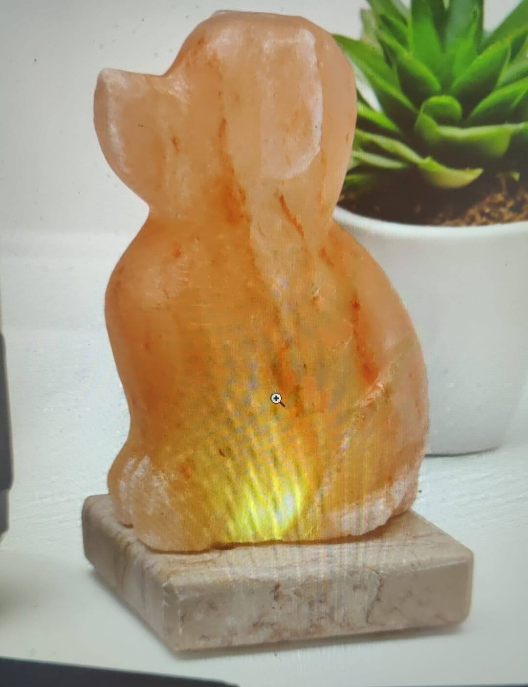 USB Dog Shaped Salt Light